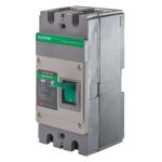 Suntree DC MCCB 100A 2P 1000VDC