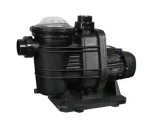 Azure Duo 1200W 110VDC/220VAC Hybrid Pool pump max flow 27m3/h