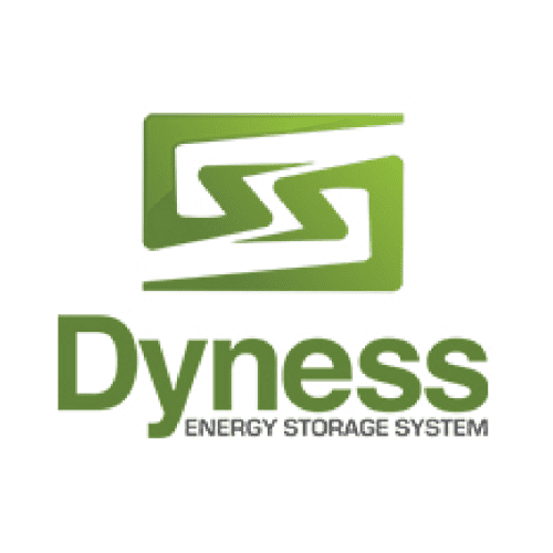 DYNESS
